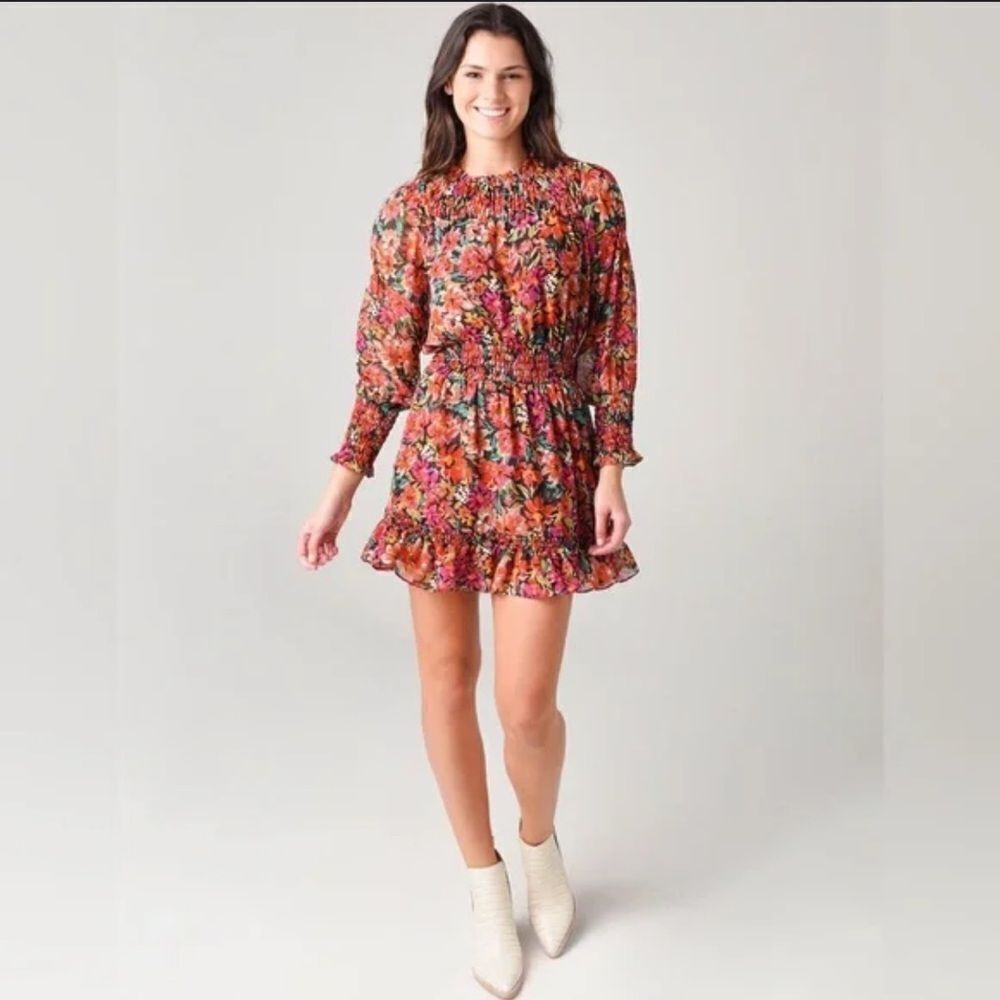 MISA Los Angeles Marin Multicolored Ruffle Hem Mini Dress Size XS